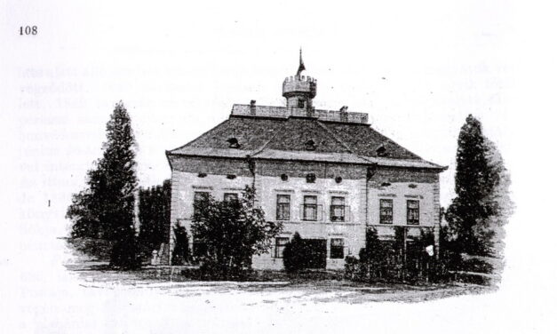 <span class="entry-title-primary">A sziget gyöngye (1.)</span> <span class="entry-subtitle">A krokán muskotály Európában egyedül a vajdasági Gyöngyszigeten terem meg</span>