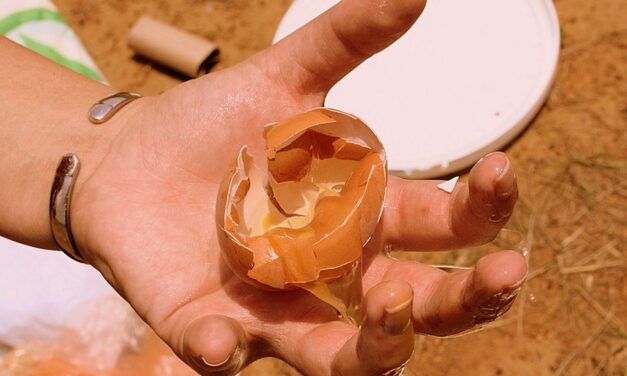 Tojással dobálták meg a haladók tavankúti irodáját