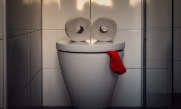 WC-lehúzásból csinál áramot egy magyar szabadalom