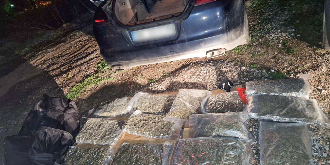 Ötvenkét kiló marihuánát foglaltak le a rendőrök