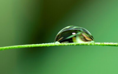 Víz a békéért Ma van a víz világnapja – Az eddig elért csekély eredmény is még sekélyesebb lehet