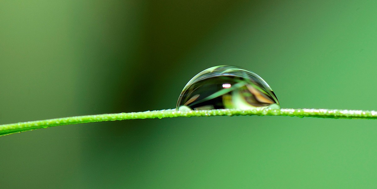 <span class="entry-title-primary">Víz a békéért</span> <span class="entry-subtitle">Ma van a víz világnapja – Az eddig elért csekély eredmény is még sekélyesebb lehet</span>