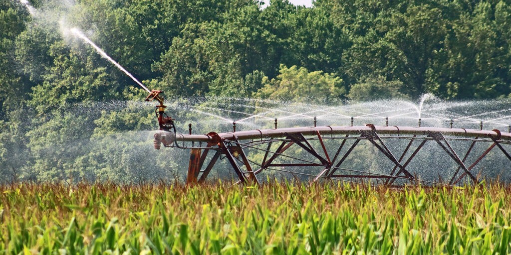 Élelmiszer-termelésünk ma már elképzelhetetlen öntözés nélkül (Fotó: Pixabay)