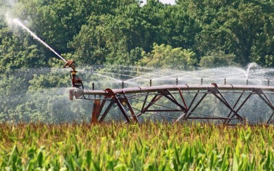 Bővítik az öntözőrendszer-hálózatot Kishegyesen Az Abu-Dzabi Fejlesztési Alapból finanszírozzák a beruházást