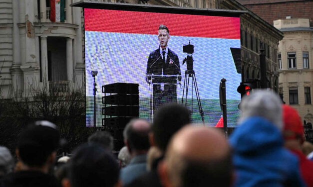 Magyar Péter: Orbán helyében kiírnám az előrehozott országgyűlési választásokat