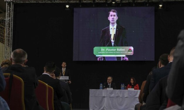 <span class="entry-title-primary">Pásztor Bálint: Lovas Ildikót „elütötte a vonat”</span> <span class="entry-subtitle">A VMSZ-t és a vajdasági magyar közösséget fel kellett szabadítani</span>