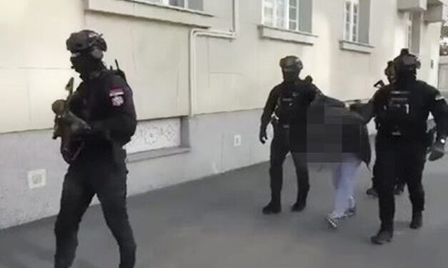 Pedofilokat vettek őrizetbe országszerte