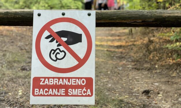 Kitakarítják a Szabadka környéki erdőket