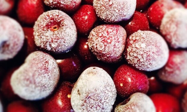 Hollandiában visszavonták a piacról a szerbiai meggyet