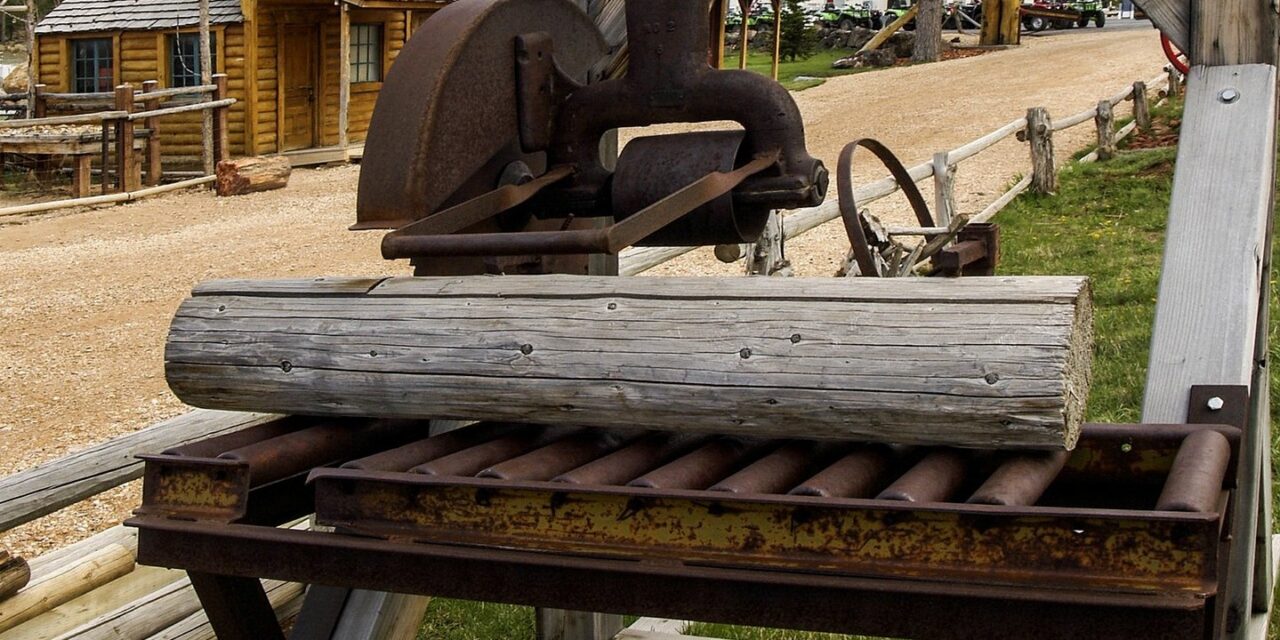 Halálos baleset a fűrésztelepen