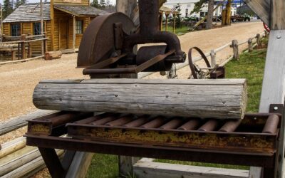 Halálos baleset a fűrésztelepen