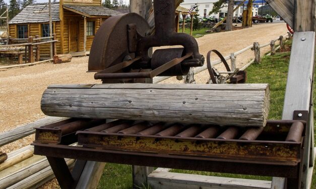 Halálos baleset a fűrésztelepen