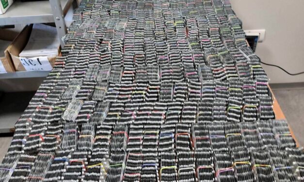 Újabb illegális gyógyszerszállítmány akadt fenn a szerb vámon