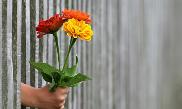 Ennyiért lehet virágot venni nőnapon