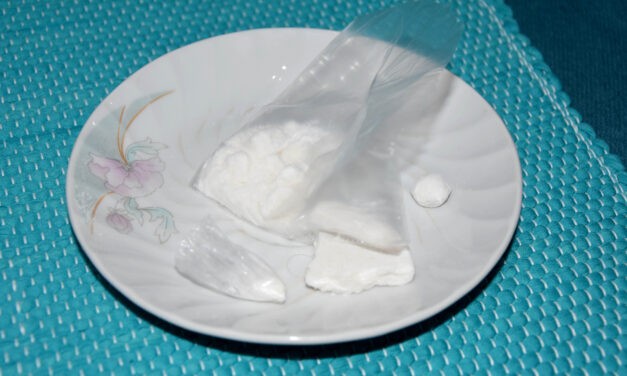 Zombori és topolyai kokainkereskedőket fogtak el a szabadkai rendőrök (Fotó)