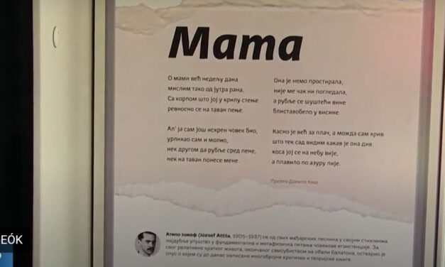 Magyar versek a belgrádi buszokon, megállókban