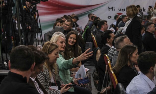 VMSZ-tisztújítás képekben