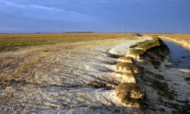 Leégett harminc hektárnyi védett terület Zombornál