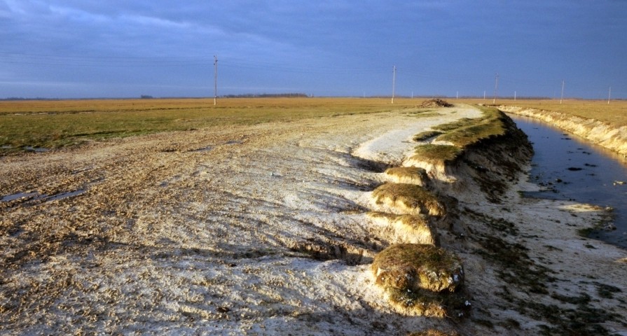 Leégett harminc hektárnyi védett terület Zombornál