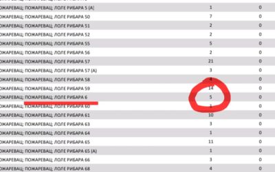 A névjegyzék alapján Požarevacon még a szavazóhelyeken is „laknak” választópolgárok