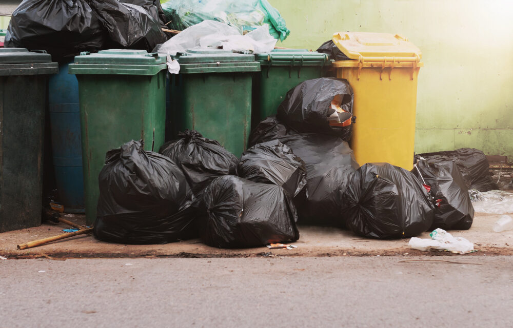 Nem szállítják el a szemetet Zentán