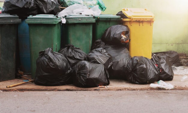 Nem szállítják el a szemetet Zentán