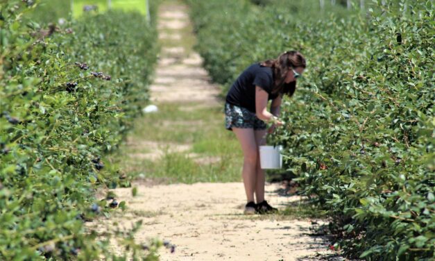 Minisztérium: Ne dolgoztassuk az embereket a napon!