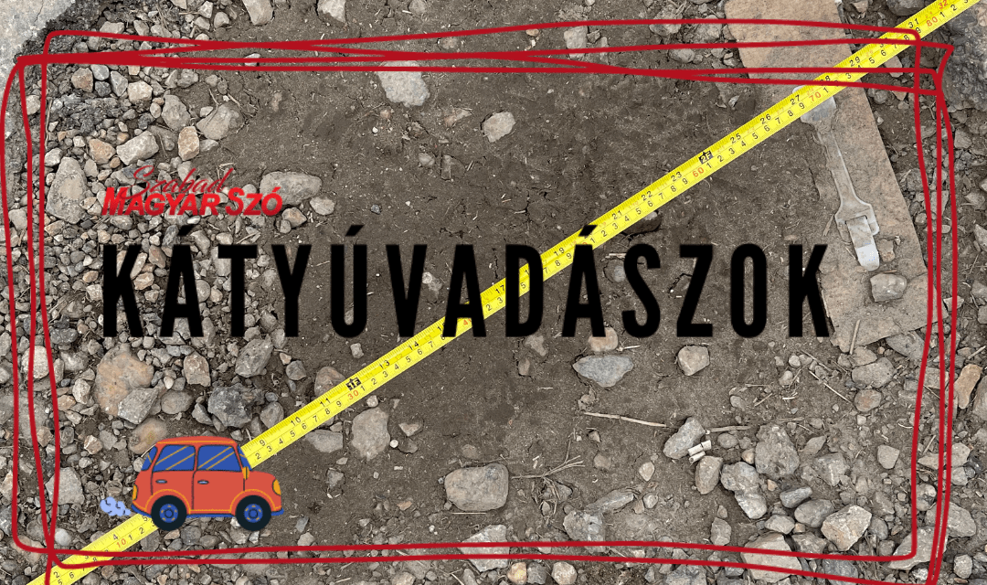 <span class="entry-title-primary">Kishegyes – Bácsfeketehegy – Verbász – ezúttal jobb híreink vannak!</span> <span class="entry-subtitle">A Kátyúvadászok ismét bevetésen jártak</span>