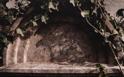 Legyen lelkük bekötve az élet kötelékébe