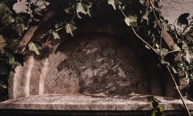 Legyen lelkük bekötve az élet kötelékébe