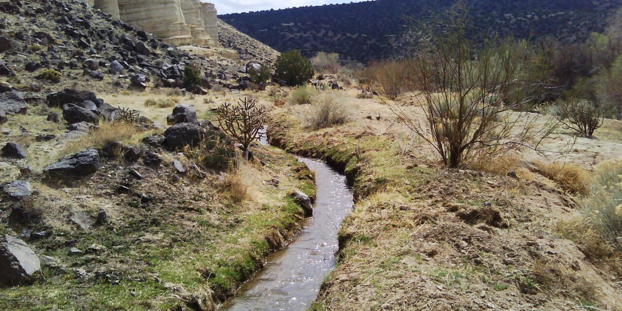 Ezeréves öntözési technikát poroltak le, és működik!