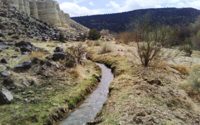 Ezeréves öntözési technikát poroltak le, és működik!