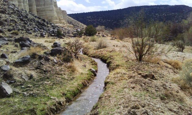 Ezeréves öntözési technikát poroltak le, és működik!