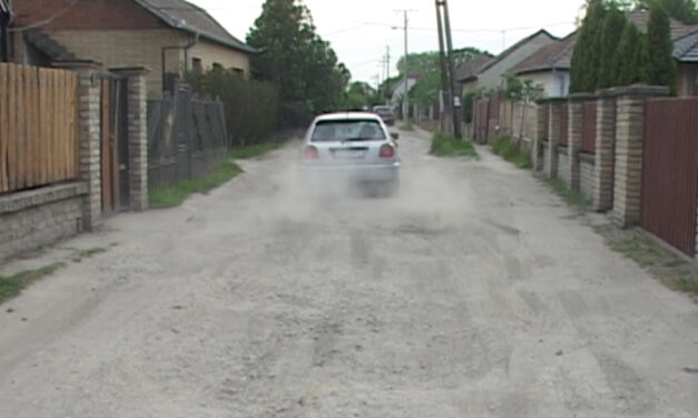 Szabadkán önkéntesek végzik a közalkalmazottak munkáját?