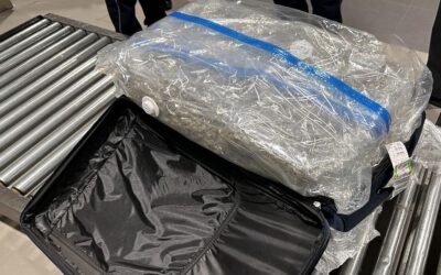 Húsz kilogramm marihuánával repült Párizsból Belgrádba (Fotók)