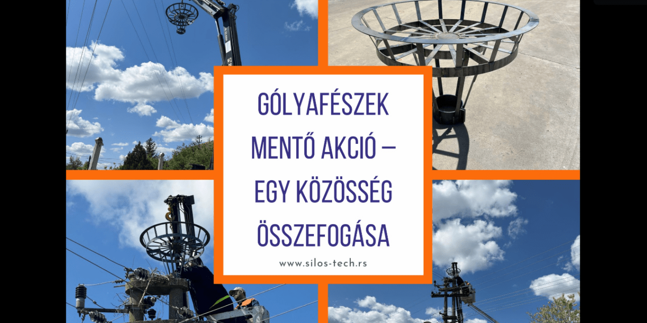 Közösségi összefogással mentettek gólyafészket Zentán