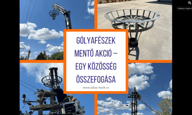 Közösségi összefogással mentettek gólyafészket Zentán