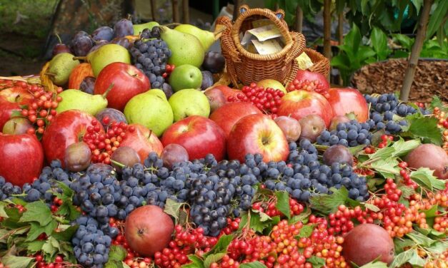 Koszt, kvártély és 2500 eurós fizetés