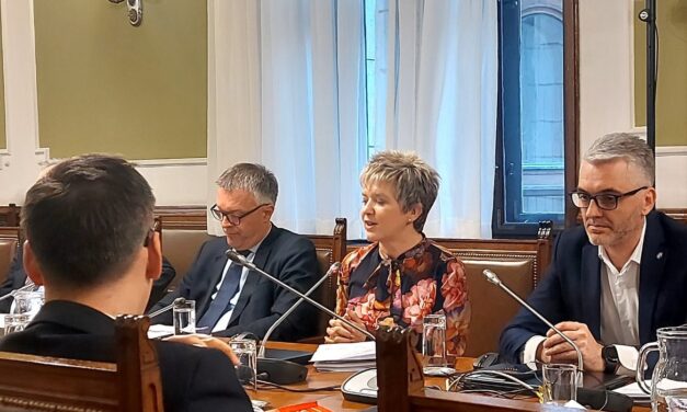 Kovács Elvira tagadja, hogy miatta került volna veszélybe a nagybecskereki iskola magyar tagozata