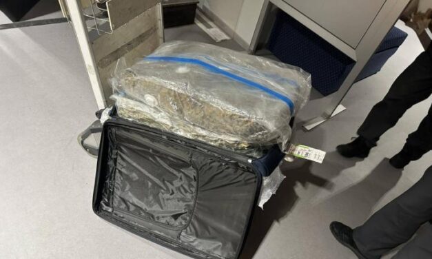 Marihuánával teli bőrönddel érkeztek a belgrádi repülőtérre