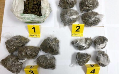 Több kilogramm marihuánát találtak Pancsován egy belgrádi fiatalnál