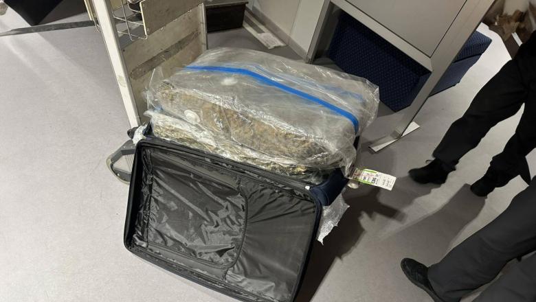 Marihuánával teli bőrönddel érkeztek a belgrádi repülőtérre