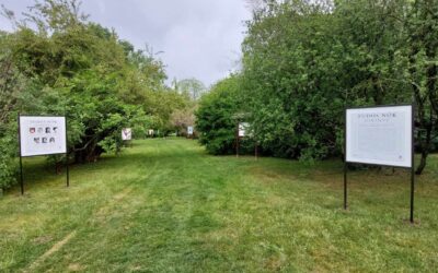 A tudós nőknek állítanak emléket a szegedi füvészkertben