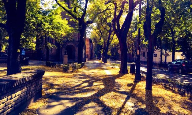 Jelentős műemlékké nyilvánították a szabadkai Radić fivérek utcát