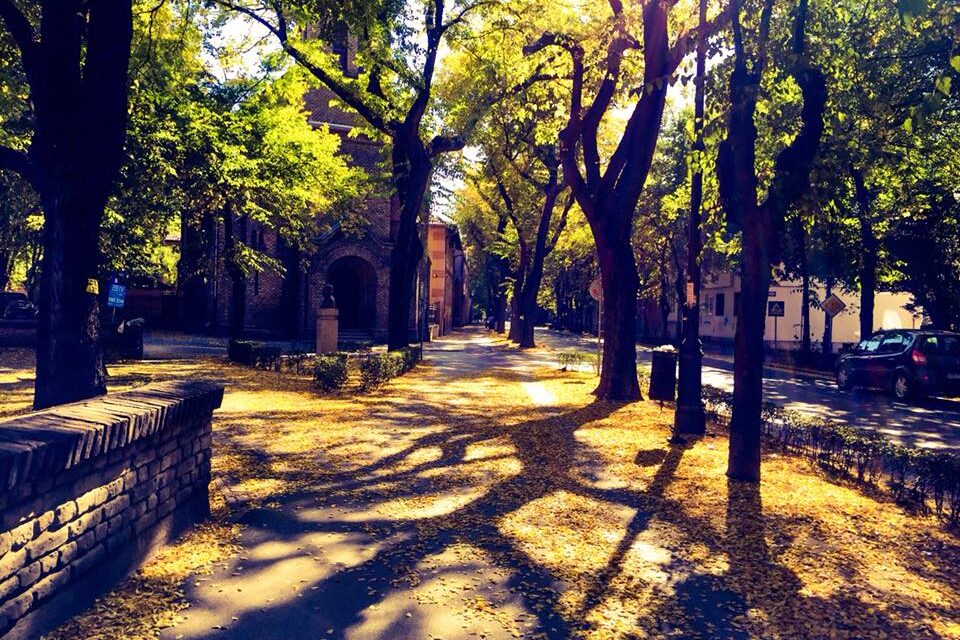 Jelentős műemlékké nyilvánították a szabadkai Radić fivérek utcát