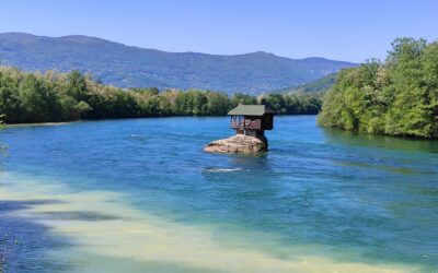 Belföldi turistának álltunk, és megnéztük a Tara Nemzeti Parkot