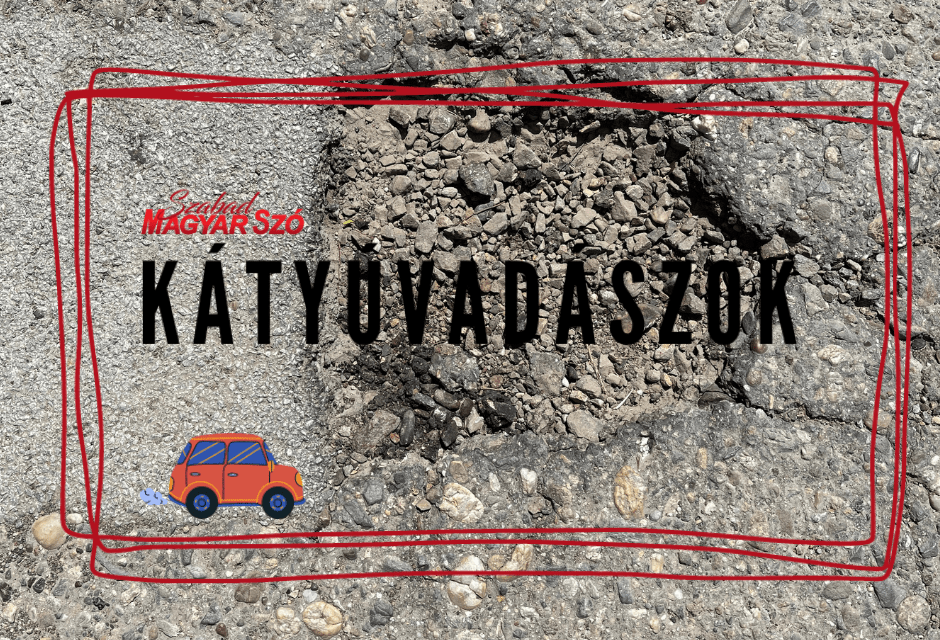 <span class="entry-title-primary">Ismét Szabadkán zötyögött a Kátyúvadászok csapata</span> <span class="entry-subtitle">Olyan kátyút is találtunk, amelyet hat hónapja nem javítottak ki</span>
