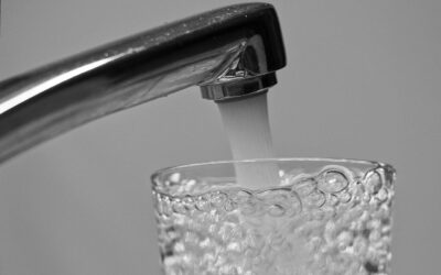 Mikor lesz egészséges ivóvíz Csóka községben?