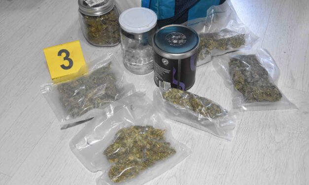 Marihuánát és hallucinogén gombákat találtak egy szabadkai fiatalnál (Fotók)