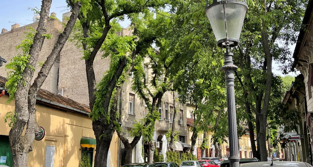 <span class="entry-title-primary">Több tucatnyi épületet lebonthattak volna Szabadka központjában, ha a VMSZ nem szól közbe</span> <span class="entry-subtitle">Éveken át küzdöttek, hogy megfelelő védettséget kapjon a Radić fivérek, a Gombkötő és a Matija Gubec utca</span>